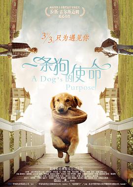 精品福利一区二区三区免费视频