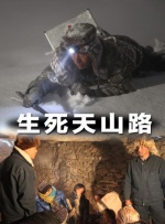 国产欧美二区