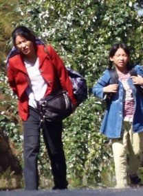 强制服从