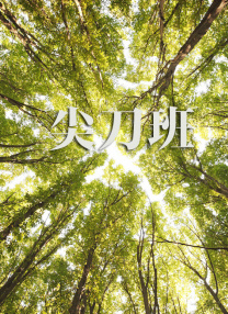 香港经典三级aⅴ在线看